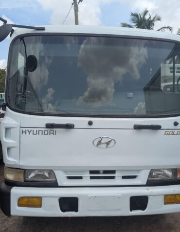 Hyundai Rhino
